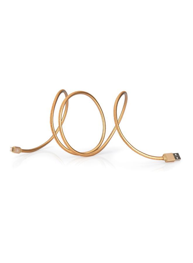NIBEMINENT Lightning Data Sync Charging Cable Gold - Image 2