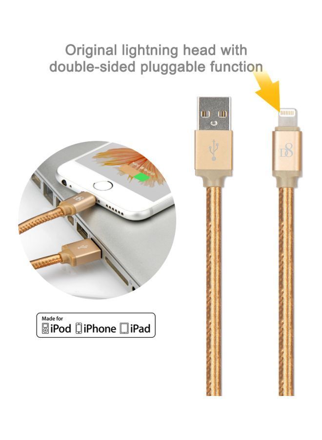 NIBEMINENT Lightning Data Sync Charging Cable Gold - Image 3