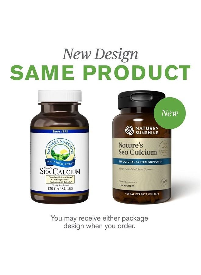 Sea Calcium, 120 Capsules | Promotes Bone and Teeth Health, Offsets Body Acidity, and Helps Maintain PH Levels