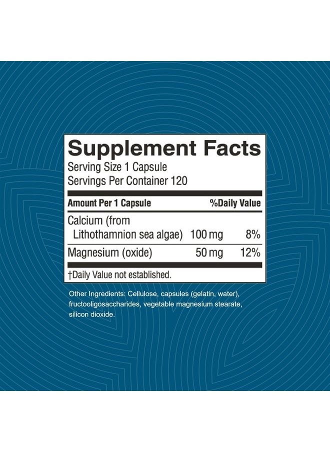 Sea Calcium, 120 Capsules | Promotes Bone and Teeth Health, Offsets Body Acidity, and Helps Maintain PH Levels