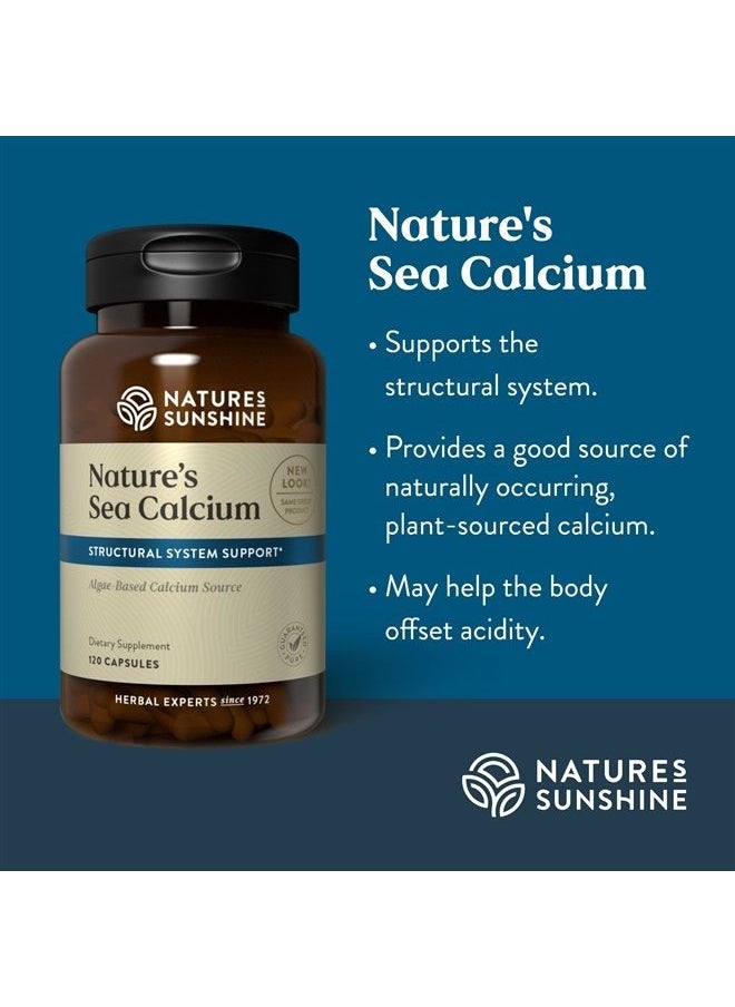 Sea Calcium, 120 Capsules | Promotes Bone and Teeth Health, Offsets Body Acidity, and Helps Maintain PH Levels