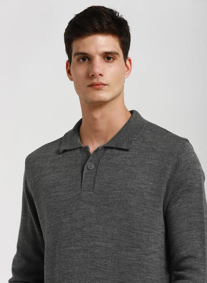 Dennis Lingo Dennis Lingo Collared Regular Fit Solid Sweater
