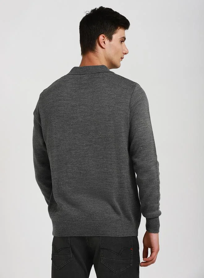 Dennis Lingo Dennis Lingo Collared Regular Fit Solid Sweater