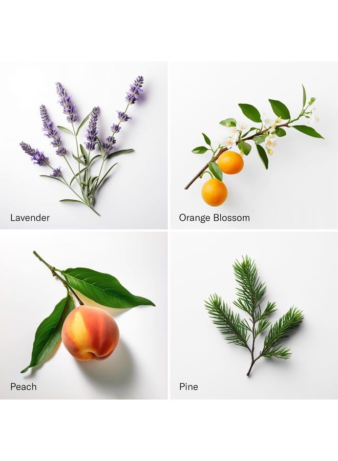 AromaTech Santal & The Hotel Set | Gift Set of Aroma Diffuser Essential Oils Blend of Santal Cardamom, Papyrus, Musk | The Hotel Peach, Red Rose, Pine - 120 Milliliter - Image 3