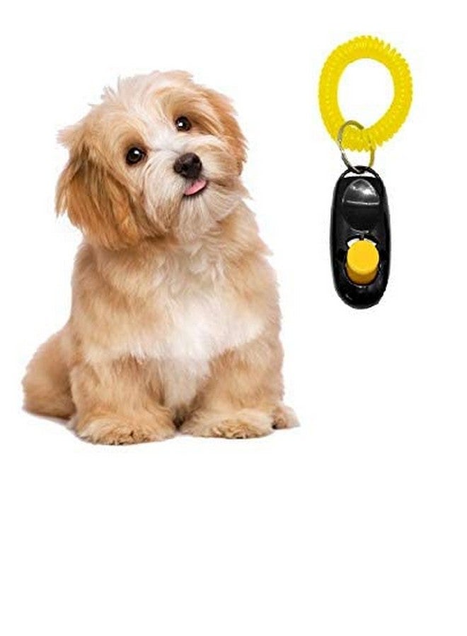 جهاز تدريب الحيوانات الأليفة، مقاس: طول-6.5 سم، جهاز تدريب الحيوانات الأليفة مع حزام معصم، مساعد تدريب وطاعة (أسود) - Image 1