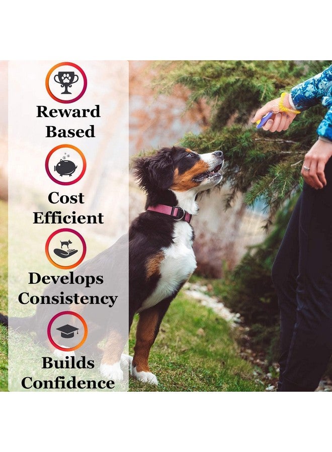 جهاز تدريب الحيوانات الأليفة، مقاس: طول-6.5 سم، جهاز تدريب الحيوانات الأليفة مع حزام معصم، مساعد تدريب وطاعة (أسود) - Image 5