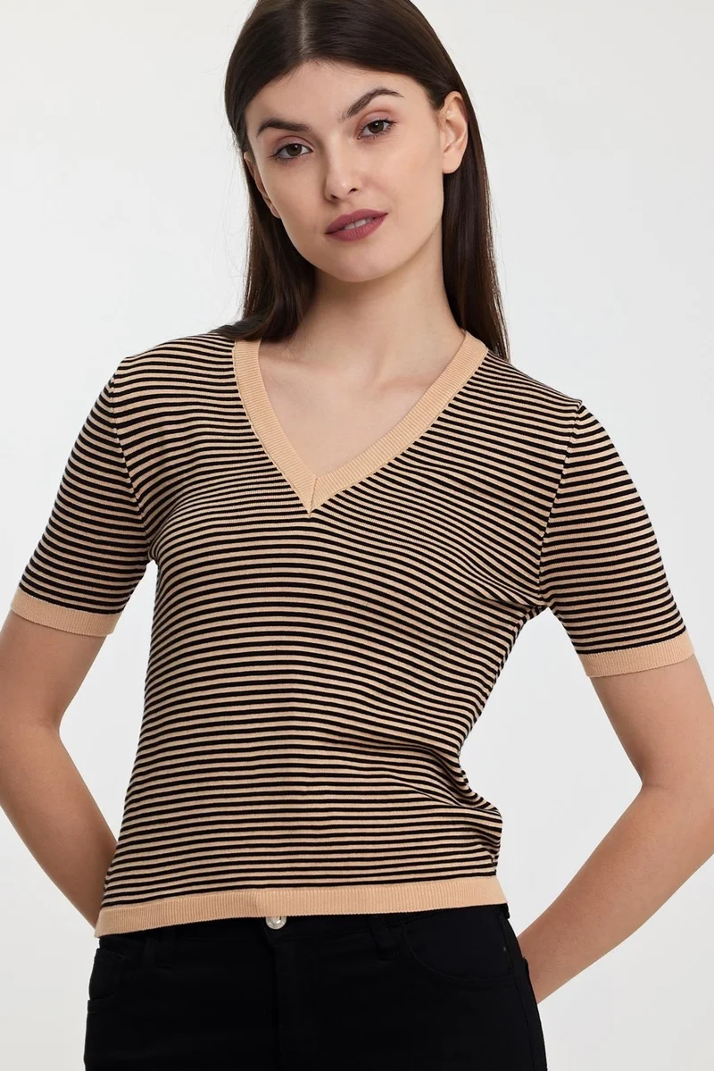 Alexander Gardi Striped V-Neck SWEATER(A92062-S)