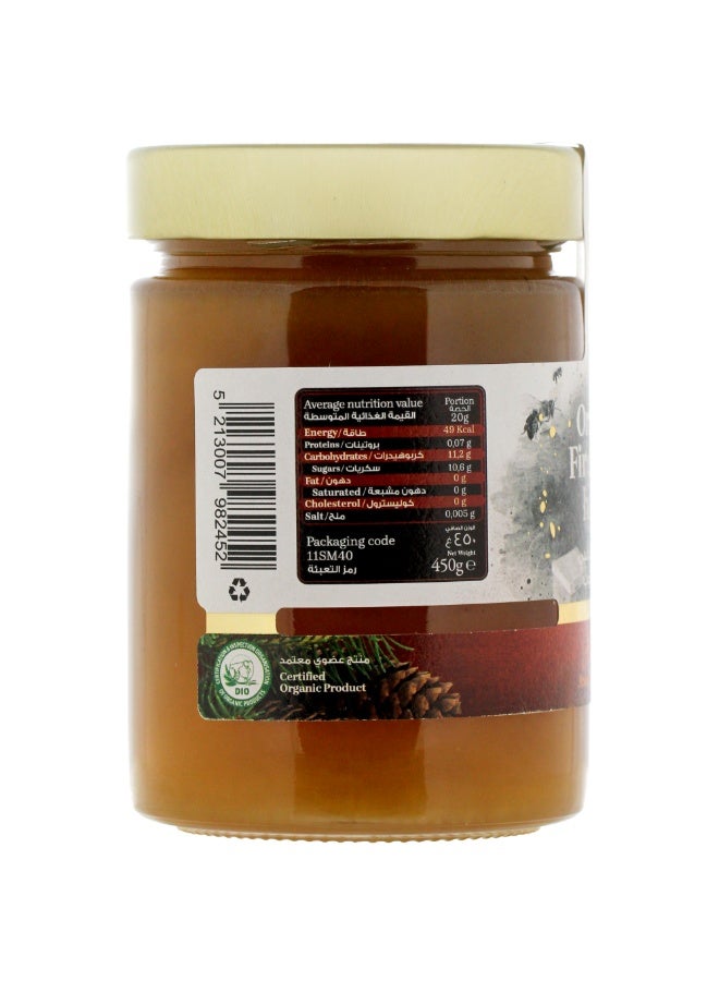Axion Esti Organic Fir Golden Honey 450g | Raw Greek Fir Honey | BIO MIEL Gold & Silver Medal - Image 3