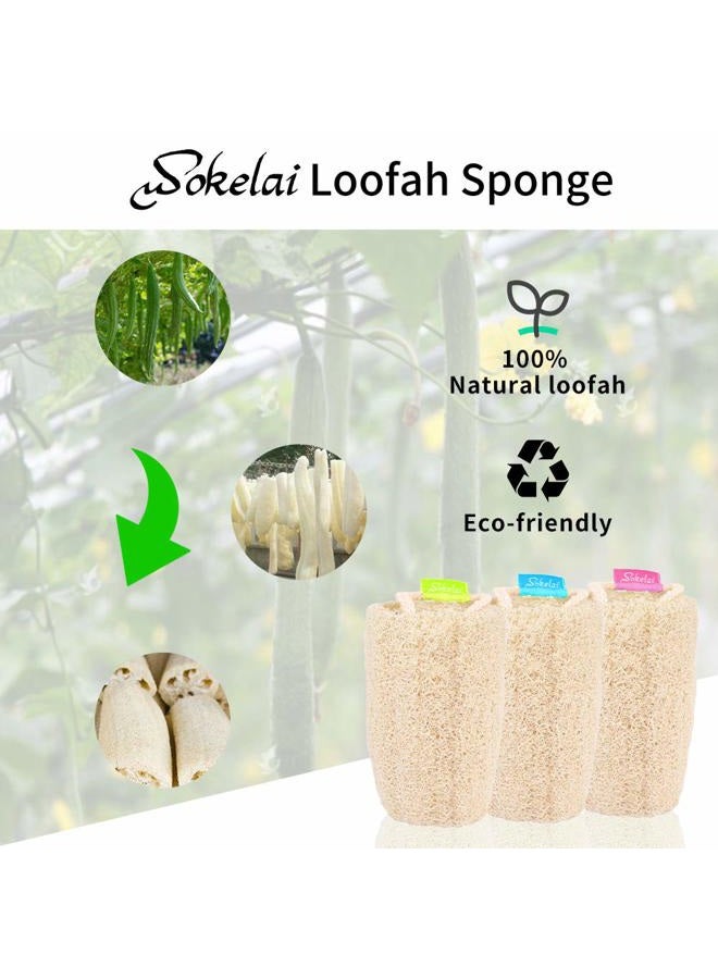 wokelai Natural Loofah Sponge - Exfoliating Body Scrubber for Shower Scrubbing, Organic Luffa Sponges, Egyptian Real Loofa, Bath Shower Puff for Bathing, Spa, Massaging Daily Skin Cleansing Care - Image 2