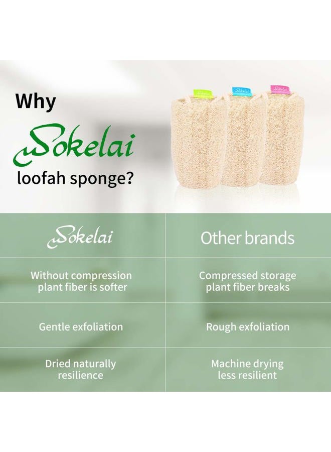 wokelai Natural Loofah Sponge - Exfoliating Body Scrubber for Shower Scrubbing, Organic Luffa Sponges, Egyptian Real Loofa, Bath Shower Puff for Bathing, Spa, Massaging Daily Skin Cleansing Care - Image 4