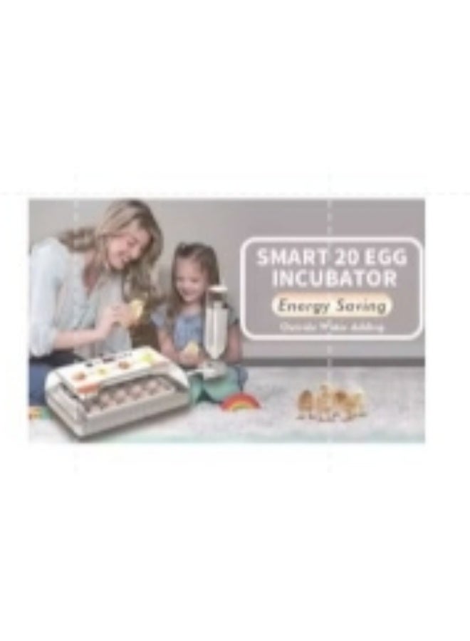 کاتانس Egg Incubator Clear View Automatic Egg Turner Temperature Humidity Control Egg Candler Poultry Egg Incubator for Hatching 20 Eggs - Image 1
