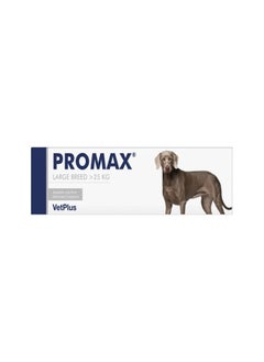 VetPlus Promax for Intestinal Problems in Large Dogs 30ml - Triple-Action Digestive Support for Healthy Gut Function
