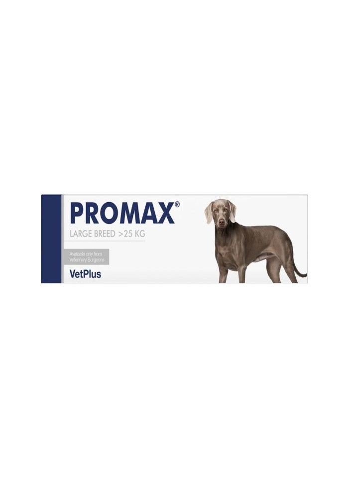 VetPlus - VetPlus Promax for Intestinal Problems in Large Dogs 30ml - Triple-Action Digestive Support for Healthy Gut Function - Image 1