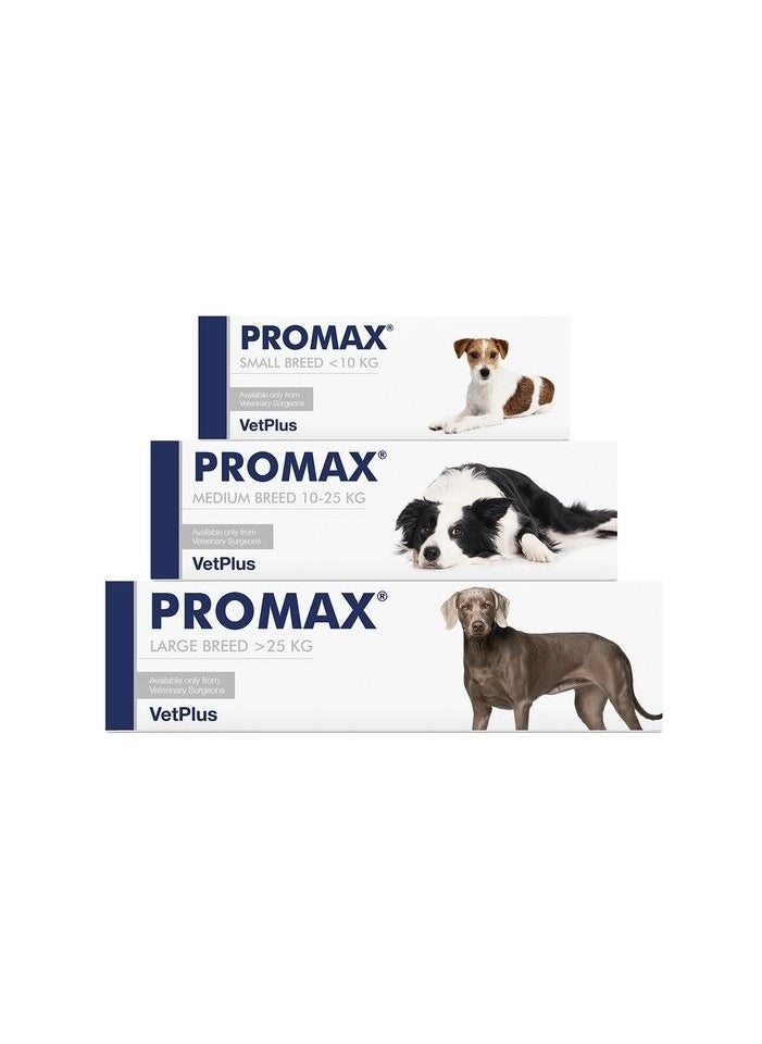 VetPlus - VetPlus Promax for Intestinal Problems in Large Dogs 30ml - Triple-Action Digestive Support for Healthy Gut Function - Image 1