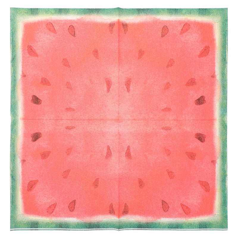 مناديل ورقية مطبوعة ببطيخ 40 قطعة مناديل مائدة زخرفية لحفلات الصيف - Image 2