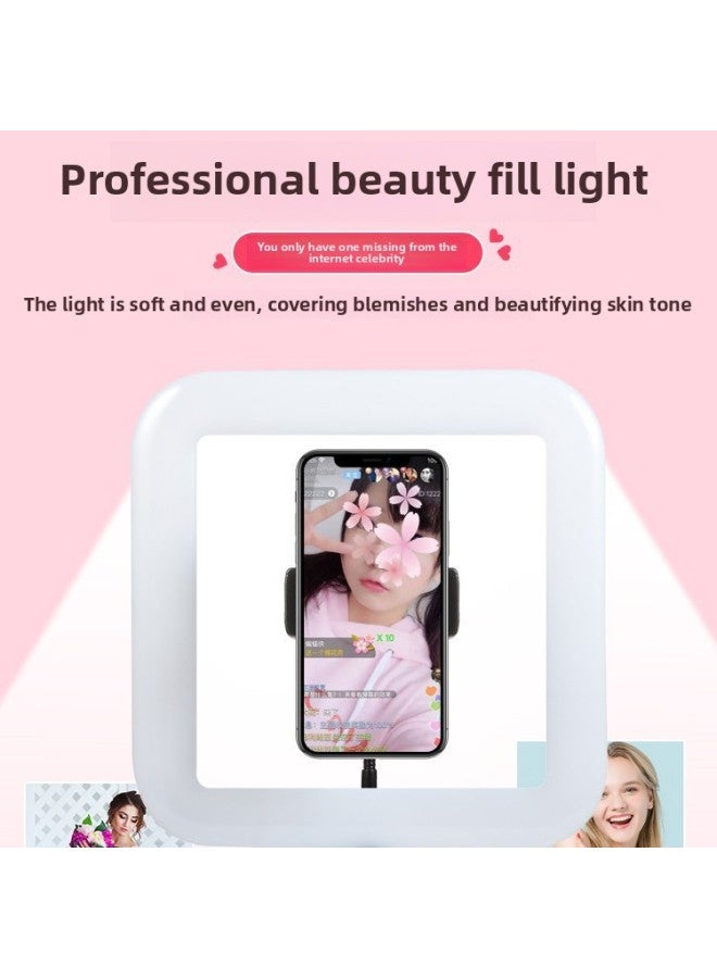 إسكدنيا Anchor Fill Light Artifact Beauty Live BroaDcast LED Square D35/D21 Supply Multi-functional Shooting Lighting-Color:D35 - Image 4