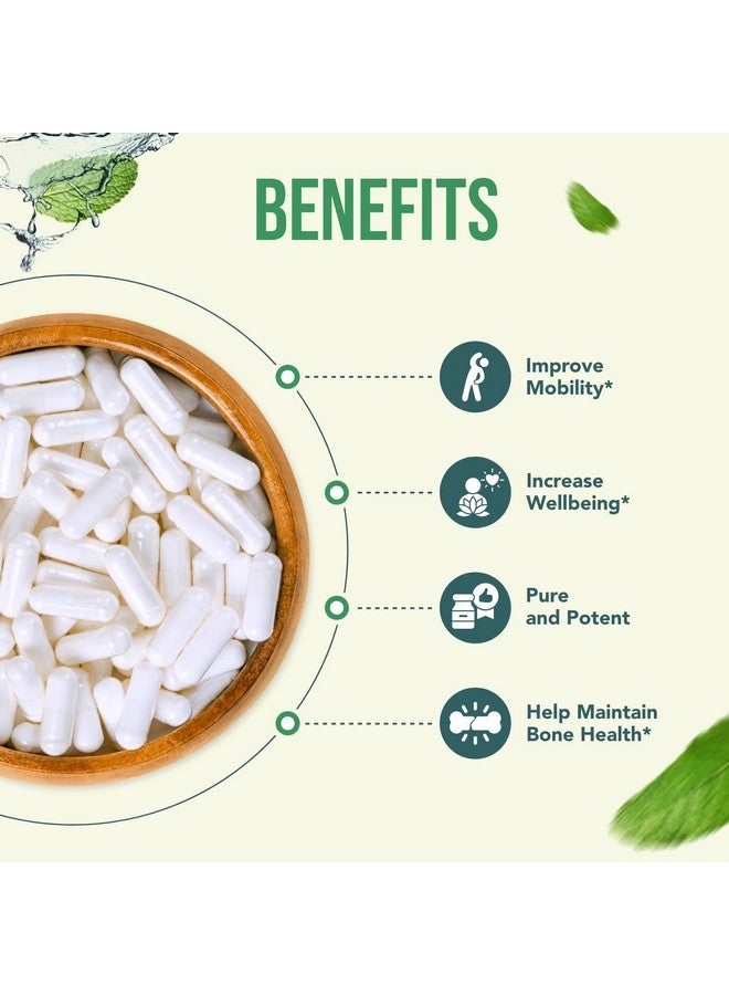HealthyWayRx Healthy Way 500mg SAM-e Supplement - High Strength 500mg S-Adenosyl-L-Methionine Capsules for Joint Brain Liver and Mood Support - Non-GMO High Absorption Same Supplement (90 Servings) - Image 4
