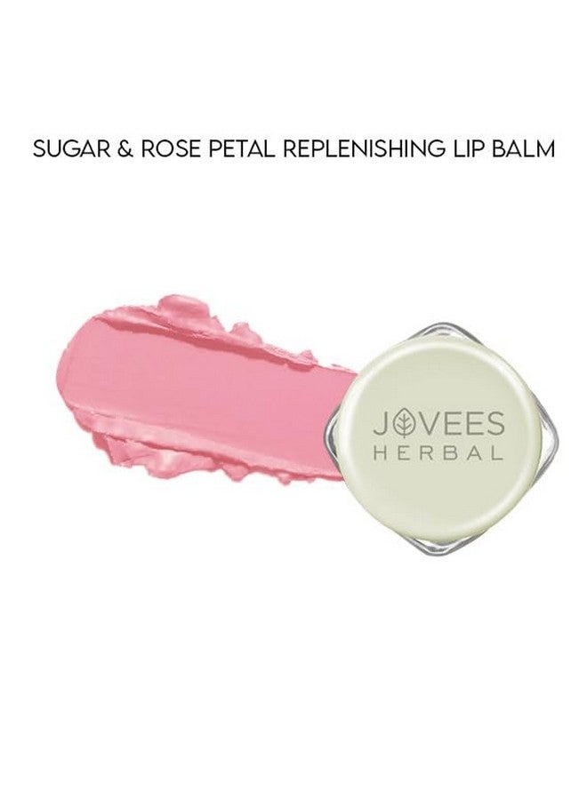 Jovees Herbal Sugar & Rose Petal Replenishing Lip Balm 24 Hour Hydration Rejuvenates Dry And Chapped Lips Gives Soft Shiny And Glossy Lips 8G - Image 2