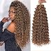 QRHSUKA GoGo Curl Crochet Hair for Women Water Wave Curly Crochet Hair Wavy Human Hair Deep Wave Beach Curl Crochet Synthetic Hair Extensions (18 inch(Pack of 6), #27) - Image 2