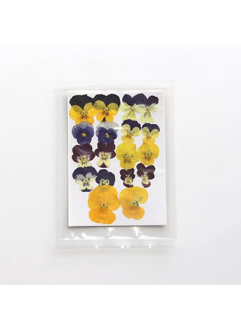 54 قطعة من الزهور المجففة المضغوطة للراتنج، الحرف اليدوية، الزهور الطبيعية المجففة، الإيبوكسي، المجوهرات، ديكورات الزهور الحقيقية، الكعك، حافظات الهواتف، الشموع، الصابون المصنوع يدويًا، البنفسجي، البانسيه - Image 4