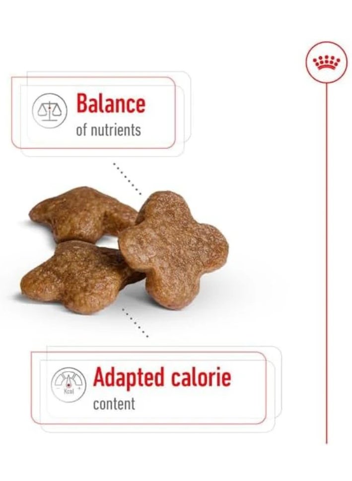 رويال كانين طعام رويال كانين الجاف للكلاب البالغة من السلالات الصغيرة (8 سنوات فأكثر وحتى 10 كجم)، 2 كجم - Image 2
