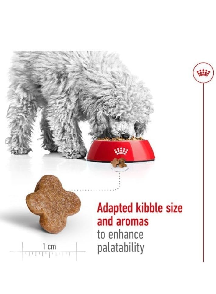 رويال كانين طعام رويال كانين الجاف للكلاب البالغة من السلالات الصغيرة (8 سنوات فأكثر وحتى 10 كجم)، 2 كجم - Image 3