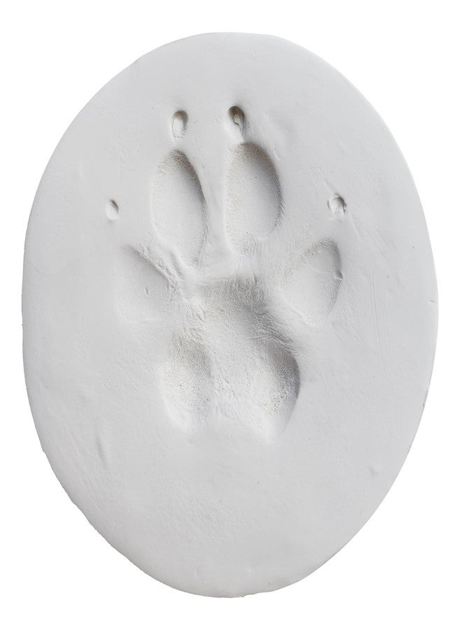 JorVet ClayPaws® White Clay Paw Print Kit - The Original Veterinary-Trusted Paw Print Keepsake | Deep, Intricate Impressions That Last | Includes Clay Patty, Storage Bag & Instructions - Image 1