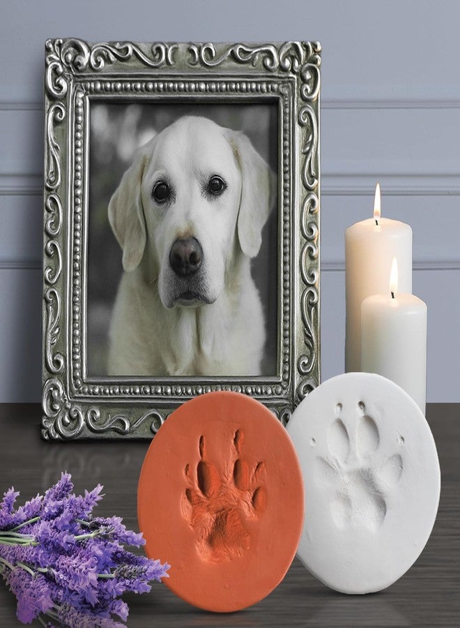 JorVet ClayPaws® White Clay Paw Print Kit - The Original Veterinary-Trusted Paw Print Keepsake | Deep, Intricate Impressions That Last | Includes Clay Patty, Storage Bag & Instructions - Image 5