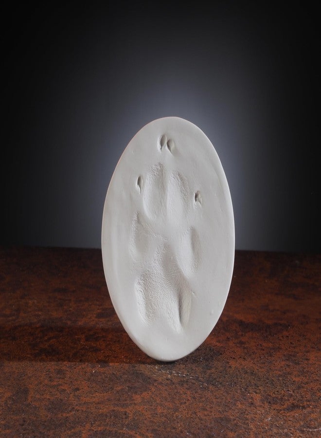 JorVet ClayPaws® White Clay Paw Print Kit - The Original Veterinary-Trusted Paw Print Keepsake | Deep, Intricate Impressions That Last | Includes Clay Patty, Storage Bag & Instructions - Image 2