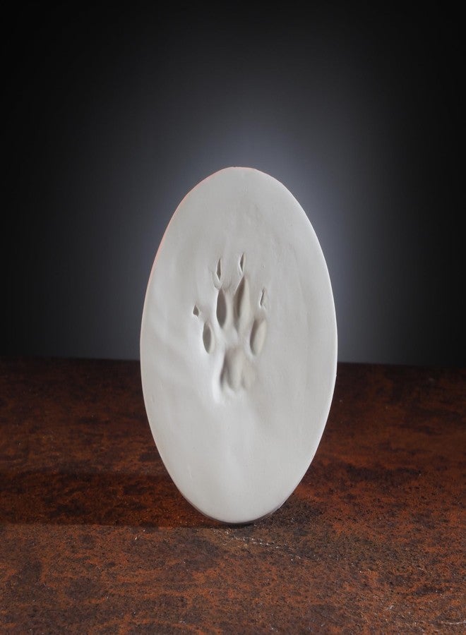 JorVet ClayPaws® White Clay Paw Print Kit - The Original Veterinary-Trusted Paw Print Keepsake | Deep, Intricate Impressions That Last | Includes Clay Patty, Storage Bag & Instructions - Image 3