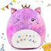 Easfan 12 Rainbow Birthday Kitty Plush Pillow Soft Cat Plush Toy Cute Kitty Stuffed Animal Home Room Decoration Birthday Gifts for Kids Toddlers - Image 3