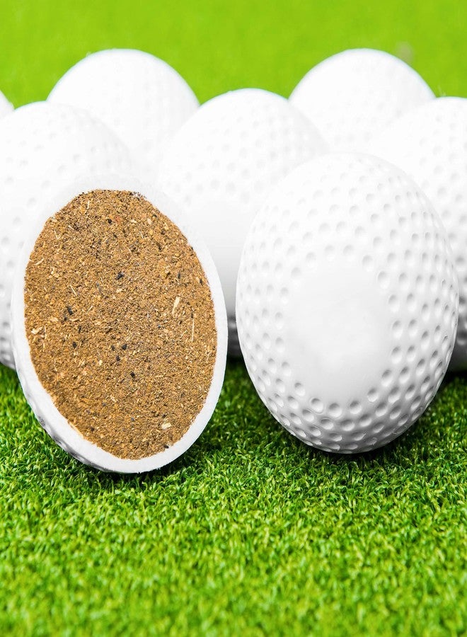 AQTIV8x Hockey Balls, PVC Practice Turf Cricket Practice White Balls, Cricket Training Ball (Pack of 2) - Image 4