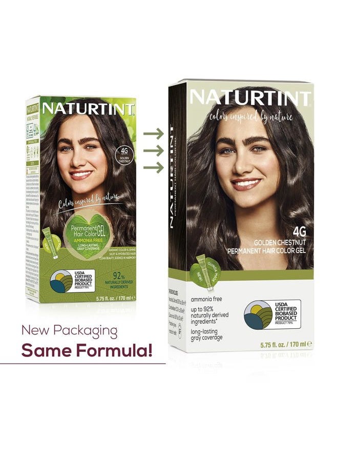NATURTINT 4G Golden Chestnut Permanent Hair Color (Pack of 1), Ammonia Free, Vegan, Cruelty Free, up to 100% Gray Coverage, Long Lasting Results (Packaging may vary)  - Image 2