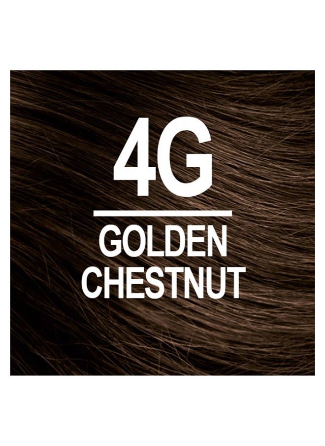 NATURTINT 4G Golden Chestnut Permanent Hair Color (Pack of 1), Ammonia Free, Vegan, Cruelty Free, up to 100% Gray Coverage, Long Lasting Results (Packaging may vary)  - Image 3
