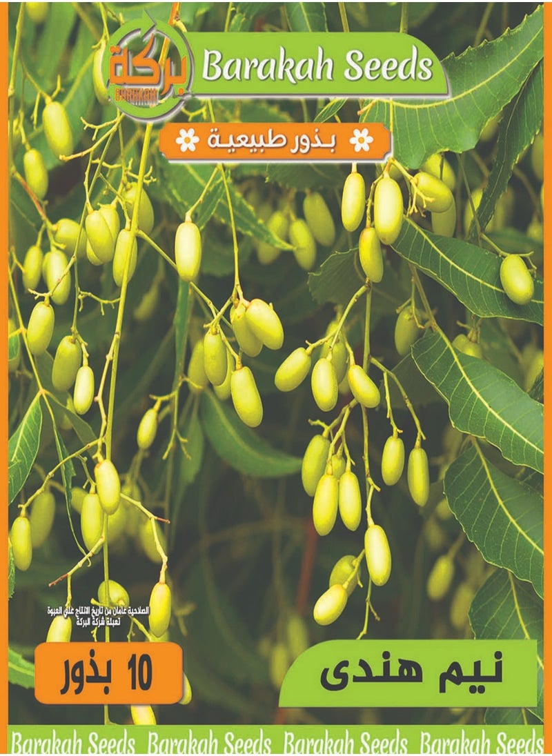 Generic - High germination rate seeds - Indian neem tree - Image 1