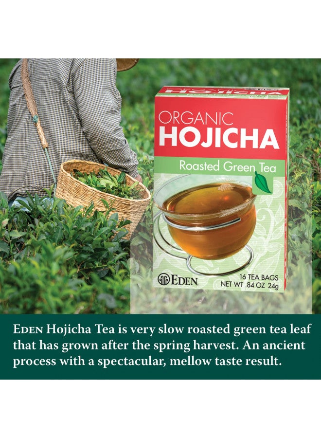 Eden Hojicha Organic Roasted Green Tea, Low Caffeine, Japanese, 16 Unbleached Manila Tea Bags per Box (12-Pack Case)