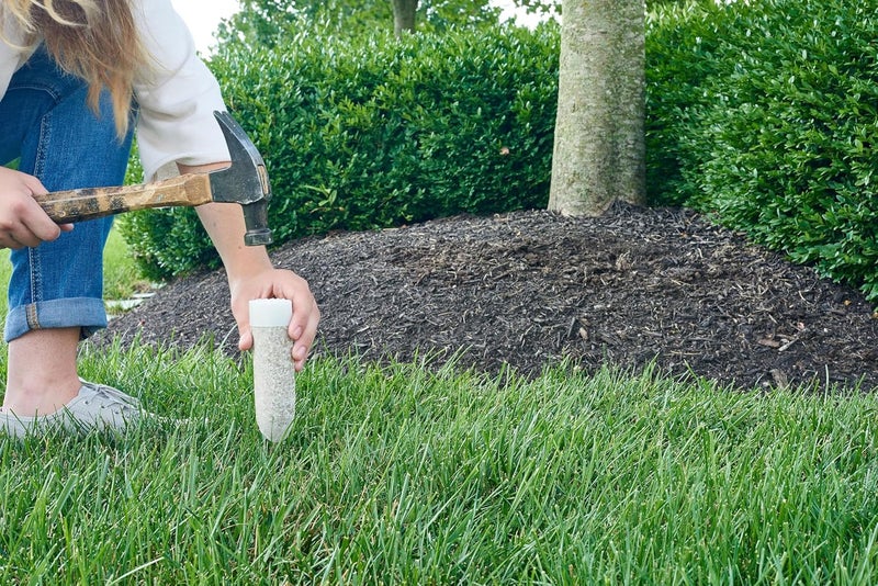 Miracle-Gro حزمة مسامير غذاء النباتات للفواكه والأشجار الحمضية بالإضافة إلى الأشجار والشجيرات، للأشجار والشجيرات المتساقطة، دائمة الخضرة والمزهرة، 24 مسمار - Image 5