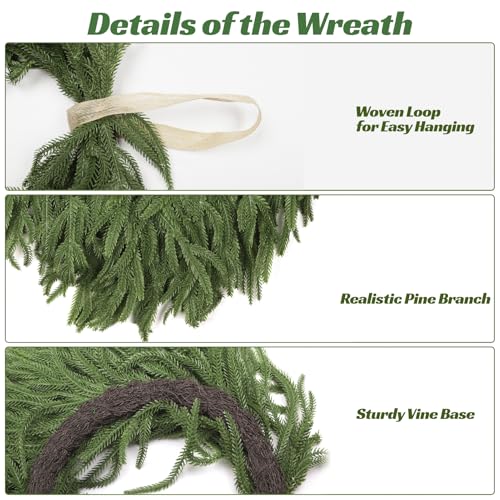 AMORISE 24" Norfolk Pine Wreath, Artificial Christmas Wreaths, Real Touch Green Winter Garland for Front Door Wall Window Indoor Outdoor Christmas Home Holiday Decor, FF13 - Image 5