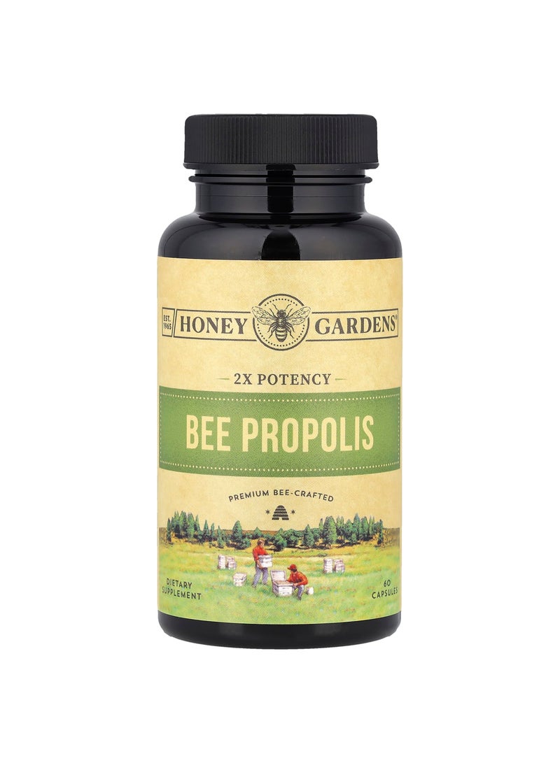 Bee Propolis, 2x Potency, 60 Capsules (400 mg per Capsule)