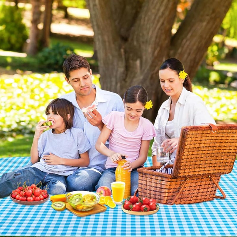 LRUUIDDE Extra Large Picnic Blanket Beach Blankets, Outdoor Foldable Waterproof Sand Mat for Beach Camping Hiking Travel Family Concerts Grass Park Music Festival Lawn Mats (Blue, 80x60inch) - Image 2