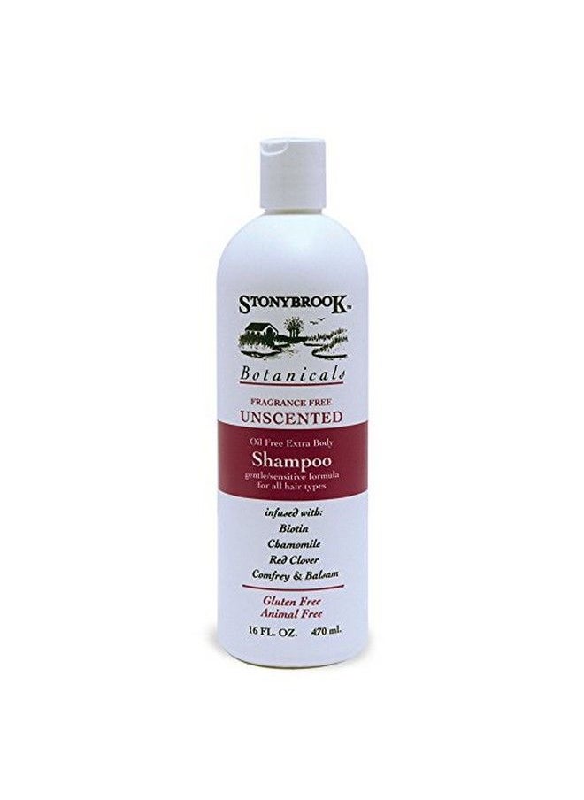 Rainbow Research Stony Brook Unscented Shampoo ( 1X16 Oz)  - Image 1