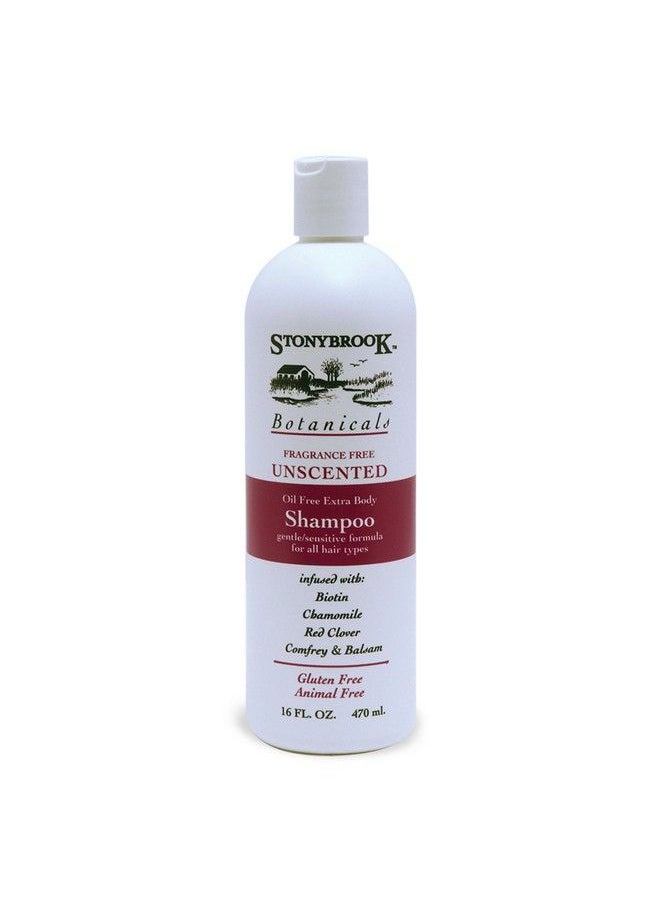 Rainbow Research Stony Brook Unscented Shampoo ( 1X16 Oz)  - Image 3