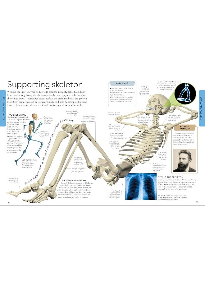 null - Human Body A Children's Encyclopedia - Image 1