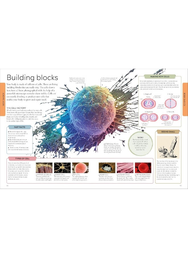 null - Human Body A Children's Encyclopedia - Image 1