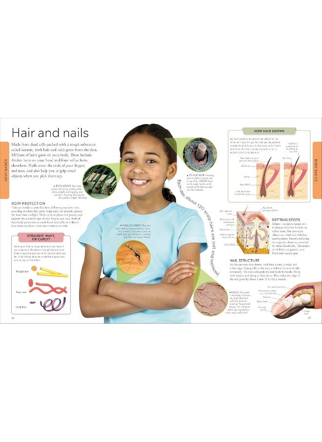 null - Human Body A Children's Encyclopedia - Image 1