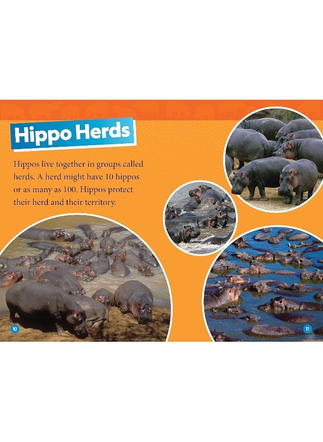 National Geographic Readers Hippos (Level 1)  - Image 3