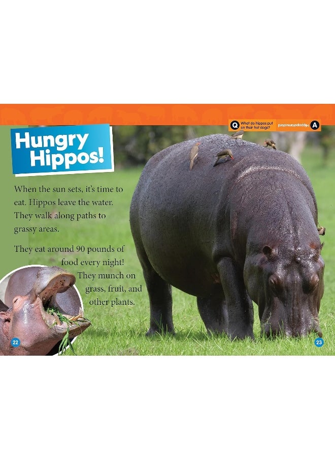 National Geographic Readers Hippos (Level 1)  - Image 4