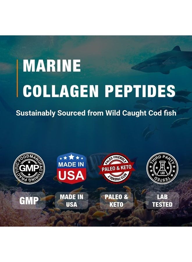 Zammex - Marine Collagen Peptides Powder Unflavored, Non-GMO Wild Caught Fish, Hydrolyzed Collagen Peptides (Type 1 & 3), Collagen Supplement for Healthy Skin, Hair, Joints & Bones, Easy to Mix, 32 Servings - Image 1