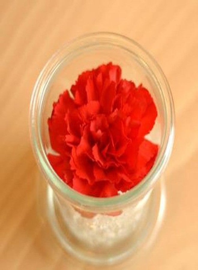 WECK M0LD145ML Molded Glass Canister - Image 3