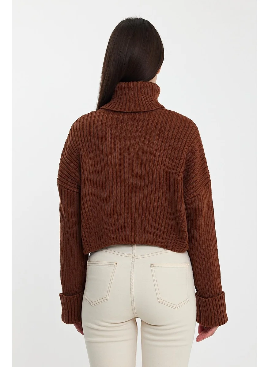 Alexandergardi Alexandergardı Sleeves Fold Turtleneck SWEATER (A92242-S)